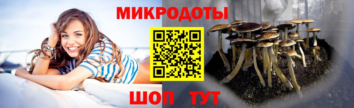Междуреченск  Галлюциногенные грибы ЛСД  сколько стоит  Псилоцибиновые грибы мицелий  Вход с VPN 
